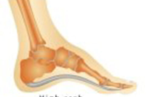 illustrate of internal foot